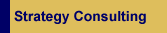 Strategy Consulting